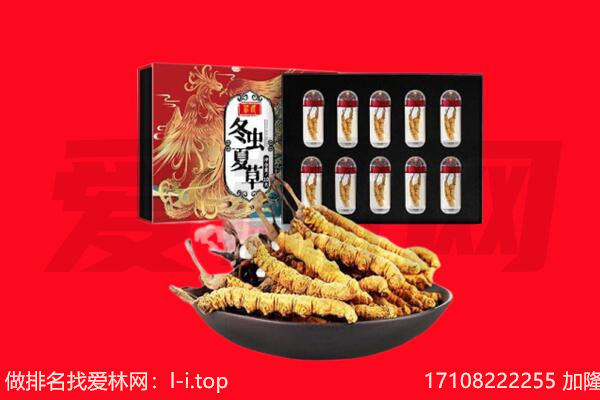 太和县回收虫草.jpg